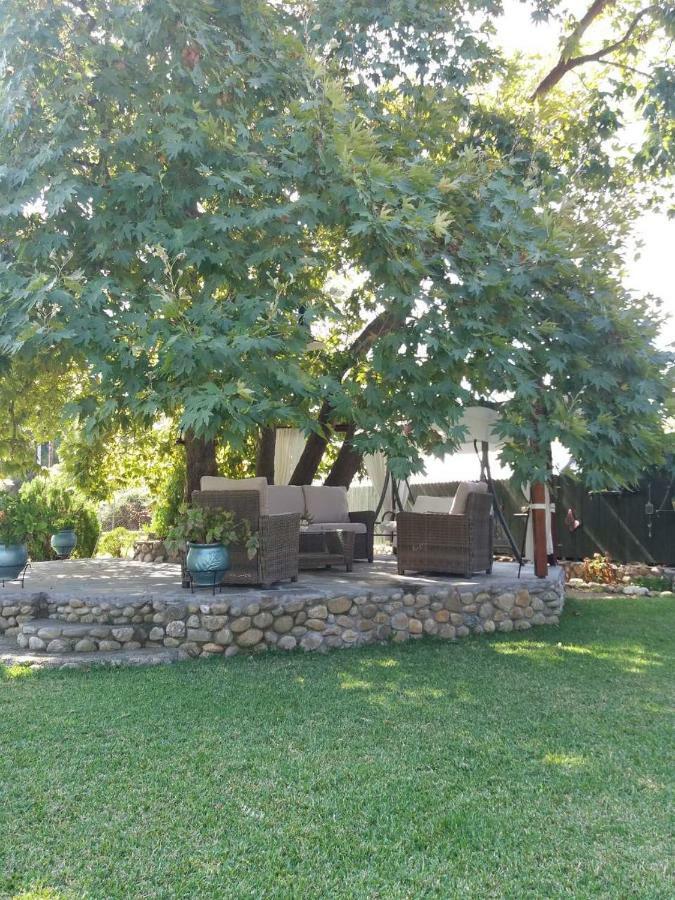 Antonis House *